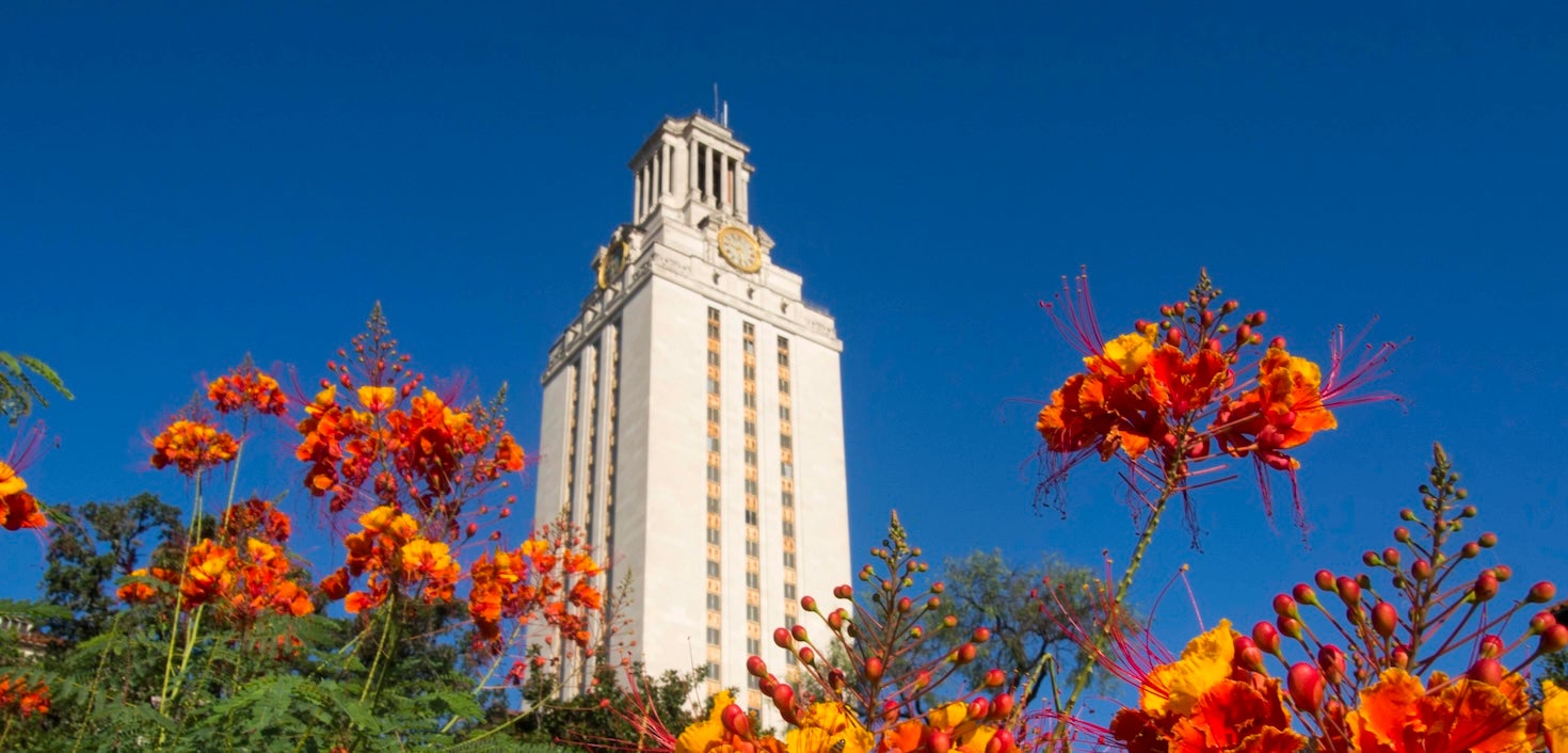 UT Austin’s main tower with orange flowers in the foreground