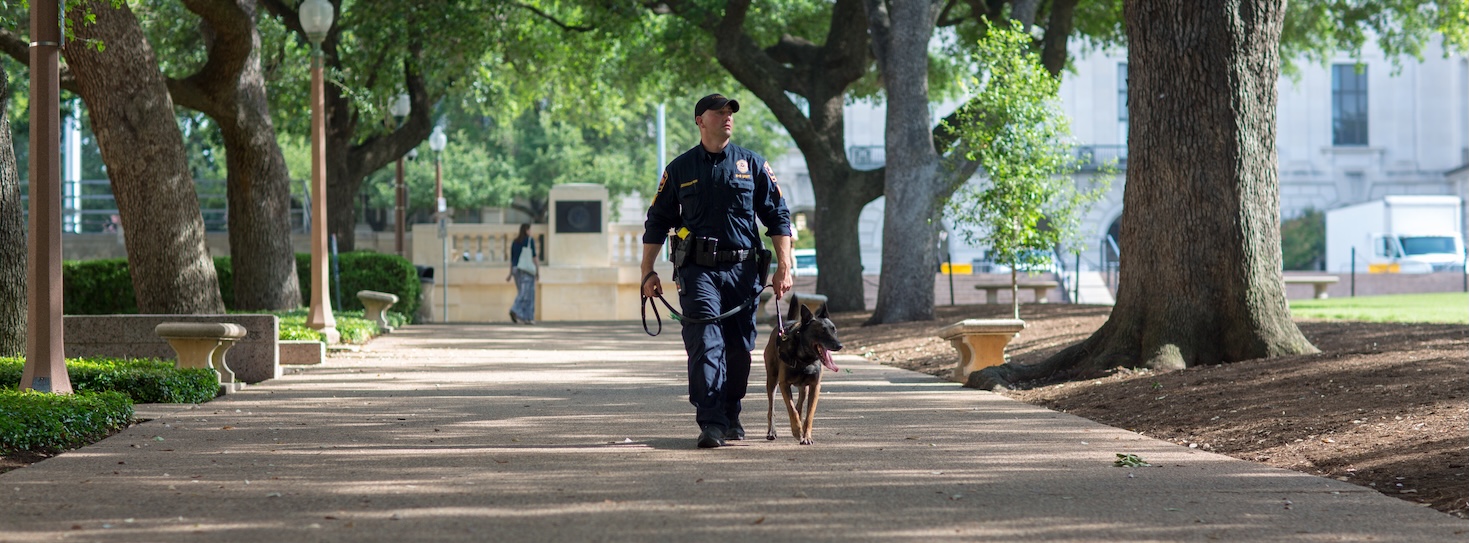 UT Police Department K-9 Officer Johansen walking dog on campus